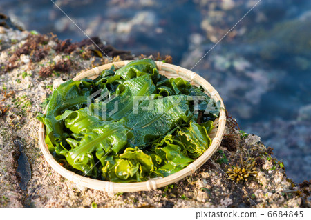 處理年輕的衣服 處理年輕的衣服 6684845