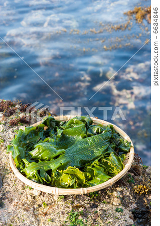 Wakura hot water processing vertical Wakura hot water processing vertical 6684846