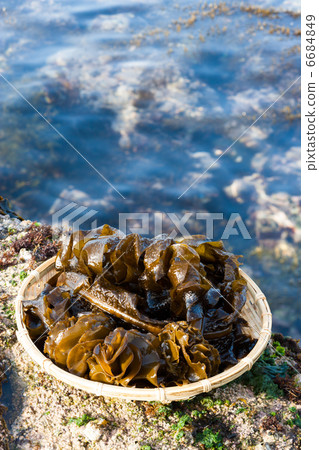 Wakabashite Wakabashite 6684849