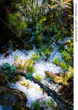 冰雹和朝聖 6684958