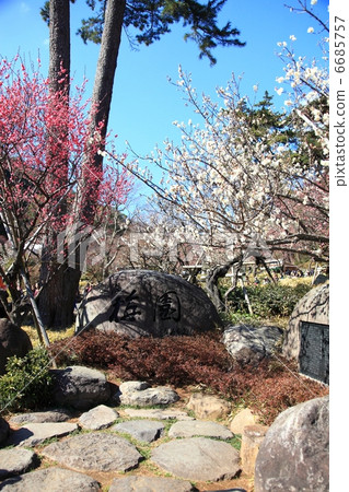 Plum Festival Atami Plumen 6685757