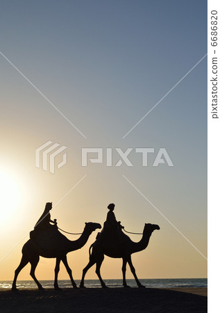 Moon's desert camel statue Sunrise Moon's desert camel statue Sunrise 6686820