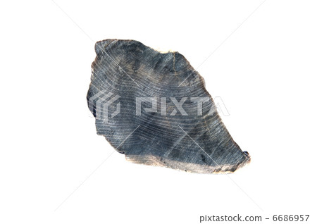 wood of the result of petrifaction 6686957