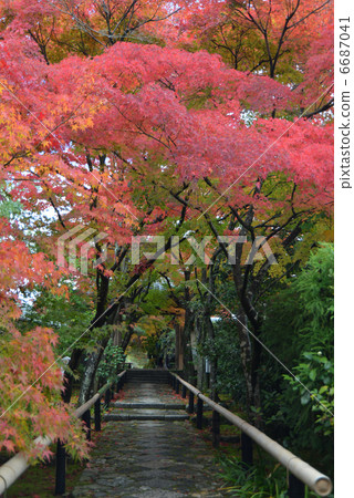 Kyoto Gyoza Temple in Kyoto Kyoto Gyoza Temple in Kyoto 6687041