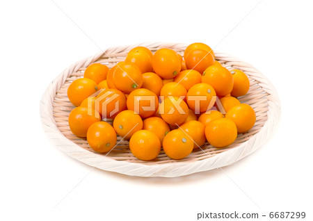 Kumquat 6687299