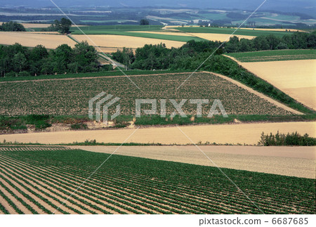 拼湊而成的地球 拼湊而成的地球 6687685