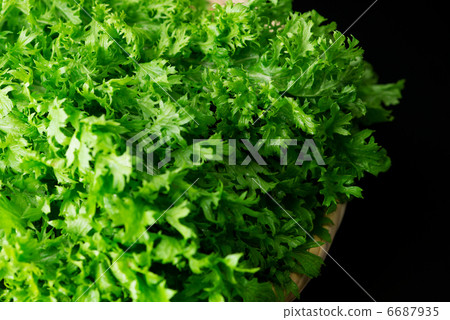 Wasabi black back sideways (up) 6687935