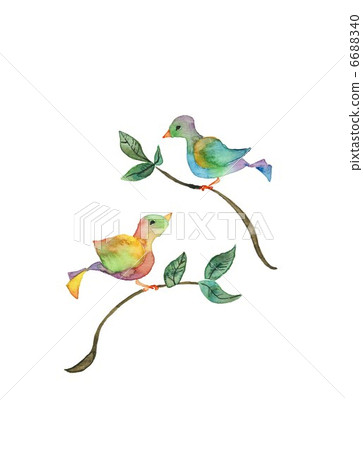A pair of birds 6688340