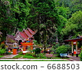 Temple of Chiang Mai 6688503