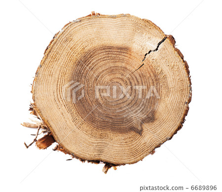 在白色背景Stubbed 在白色背景Stubbed 6689896