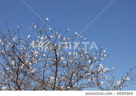 拳頭 拳頭 6689969