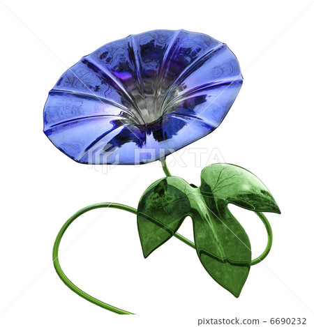 Glass morning glory (blue) Glass morning glory (blue) 6690232
