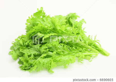 Vegetable wasabi 6690603