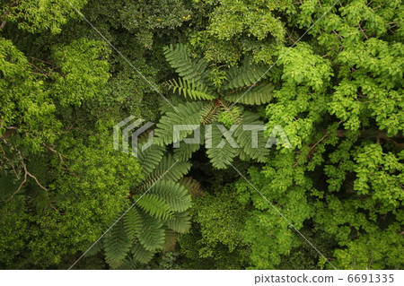 Yambaru的性質 6691335