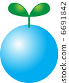 Sprout water sphere 6691842