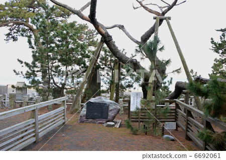 Matsuhara no Matsubara Shimizu Shrimp in the Hagoromo 6692061