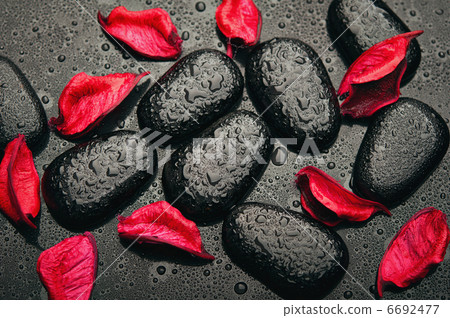 background spa. black stones and red petals with water droplets background spa. black stones and red petals with water droplets 6692477