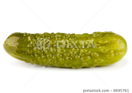 Pickle Pickle 6695761