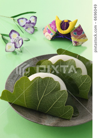 Kashiwamochi 6696049