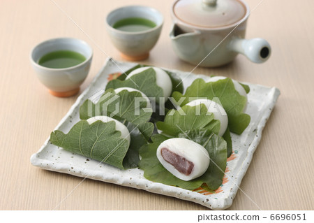 Kashiwamochi 6696051