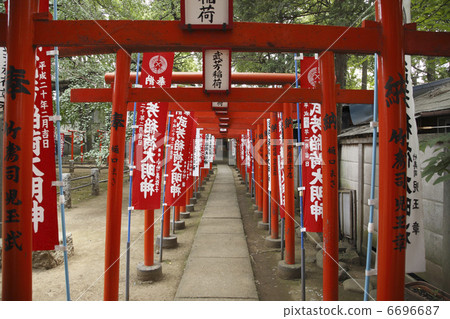 Torii Torii 6696687