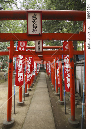 Torii Torii 6696964