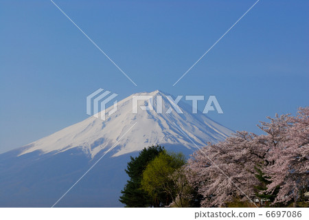 富士和櫻花 富士和櫻花 6697086