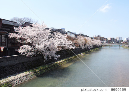 首席鎮Chaya街 首席鎮Chaya街 6699369