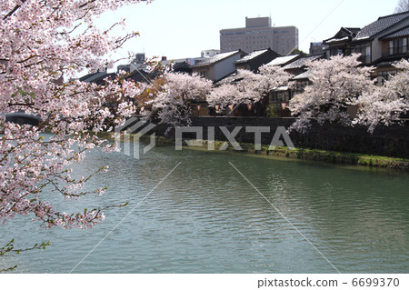 Chief Town Chaya Street 6699370