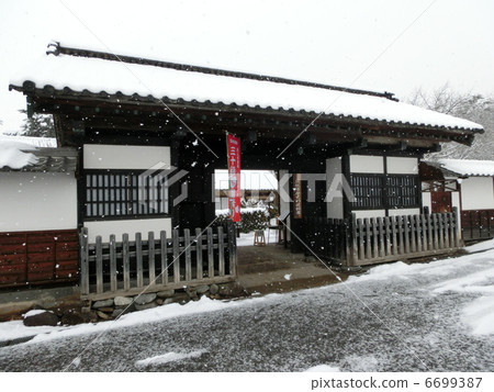Nagayamon in the snow 6699387