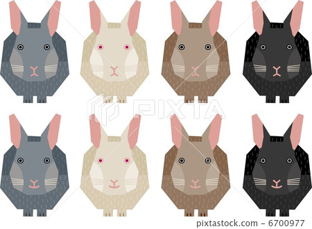 rabbit 6700977