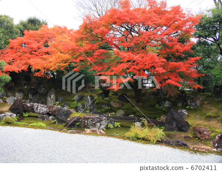 Entokuin Entokuin 6702411