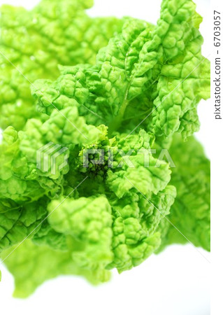 Vegetable background material - Freshly picked vegetable flowers - White back vertical position up 6703057