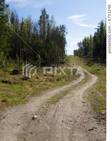forest road forest road 6703240