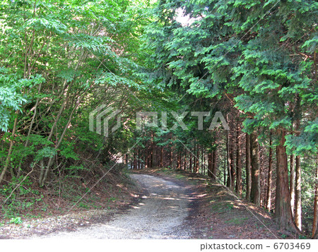 Haccho forest road Haccho forest road 6703469