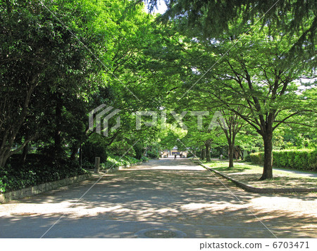 鶴舞公園散步 6703471