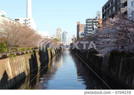 從目黑河Nakame公園橋的Nakasato橋 從目黑河Nakame公園橋的Nakasato橋 6704239