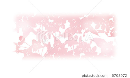 Cherry Blossoms Cherry Blossoms 6708972