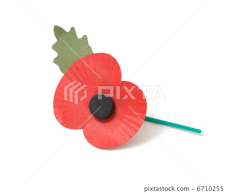 Poppy appeal 6710255