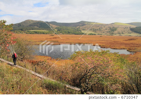 Autumn moorland Autumn moorland 6710347