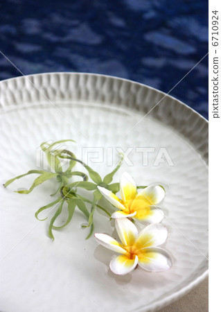 雞蛋花漂浮在水中 雞蛋花漂浮在水中 6710924