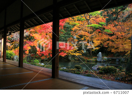 Lotus Temple 6711007