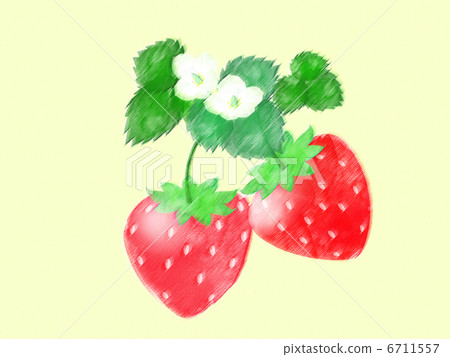 草莓果子甜花葉子真正的點心春天幼木耕種白花 6711557