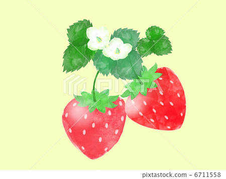 草莓果子甜花葉子真正的點心春天幼木耕種白花 6711558