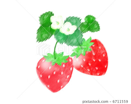 草莓果子甜花葉子真正的點心春天幼木耕種白花 6711559