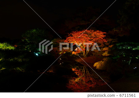 Kuribayashi公園秋葉 6711561