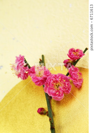 Girls' celebration image · Kaboromi up · 2 washi paper back vertical position Girls' celebration image · Kaboromi up · 2 washi paper back vertical position 6711613