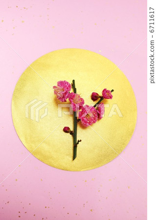 Girls' celebrations image · red plum · pink golden Japanese paper 2 kinds back vertical position Girls' celebrations image · red plum · pink golden Japanese paper 2 kinds back vertical position 6711617
