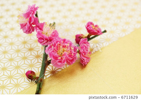 Girls' celebration image · Kaboromi up · Hemp leaf pattern Other Japanese paper back lateral position Girls' celebration image · Kaboromi up · Hemp leaf pattern Other Japanese paper back lateral position 6711629