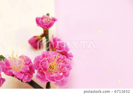 Spring Material · Red Meat Up · Plum Floral Pattern Other 2 Japanese Paper Back Horizontal Position 6711632